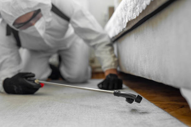 Professional Bed Bug Control technician working in Treutlen County County, GA